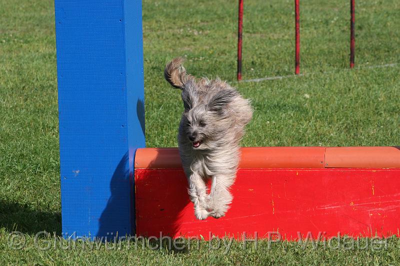 gluehwuermchen08 094 (32).jpg